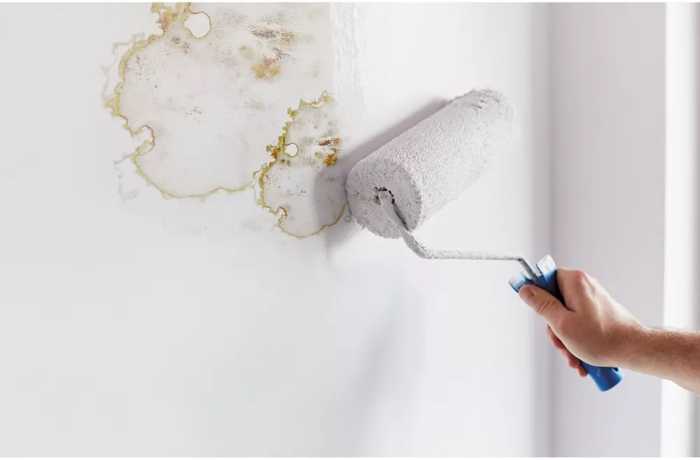 High Grade Coatings Anti Formaldehyde Anti Mold Interior Emulsion Paint